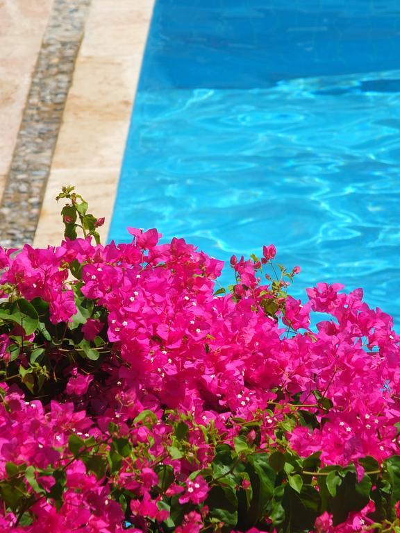 פאטהיה Hotel Villa Berk מראה חיצוני תמונה